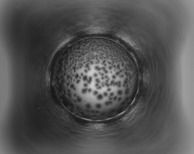 X0000097811309200803201409