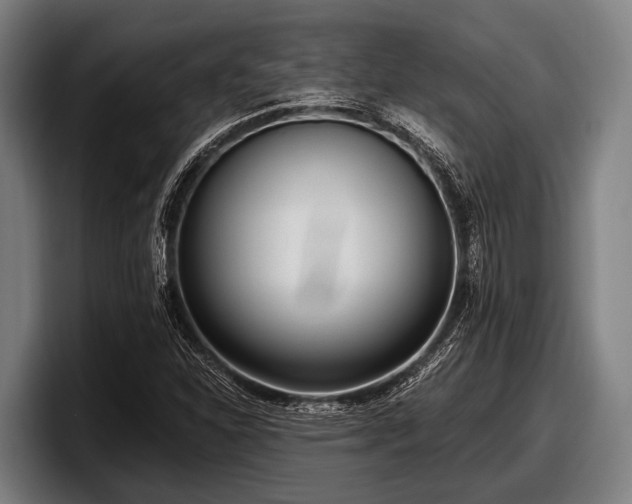 X0000097811310200803201409