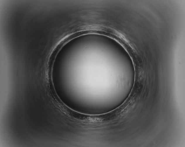 X0000097811312200803201409