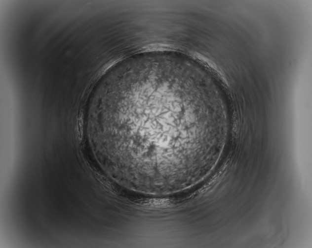 X0000097811313200803201409