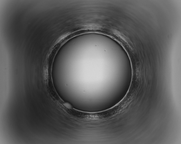 X0000097811315200803201409
