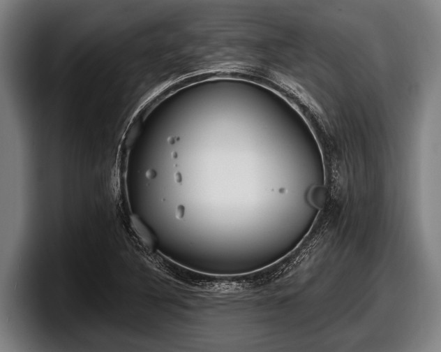 X0000097811316200803201409