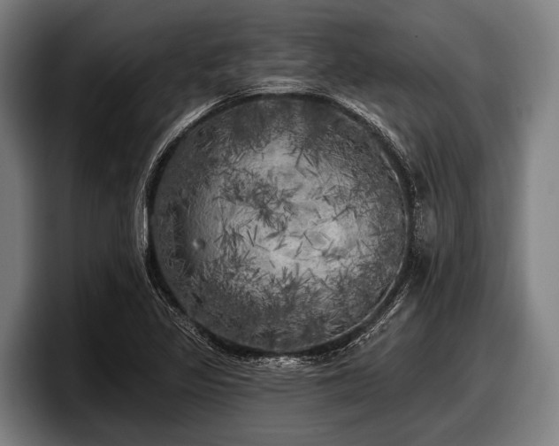 X0000097811317200803201409