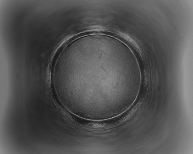 X0000097811318200803201409