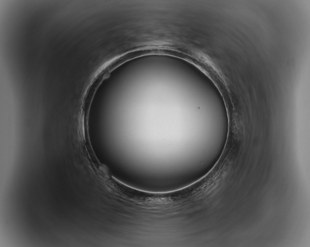 X0000097811320200803201409