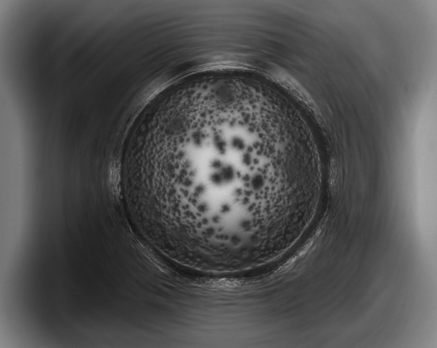 X0000097811321200803201410