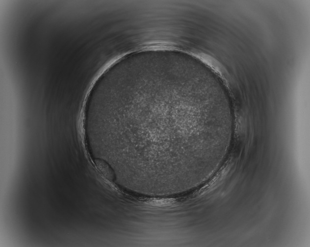 X0000097811325200803201410