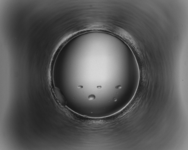 X0000097811328200803201410