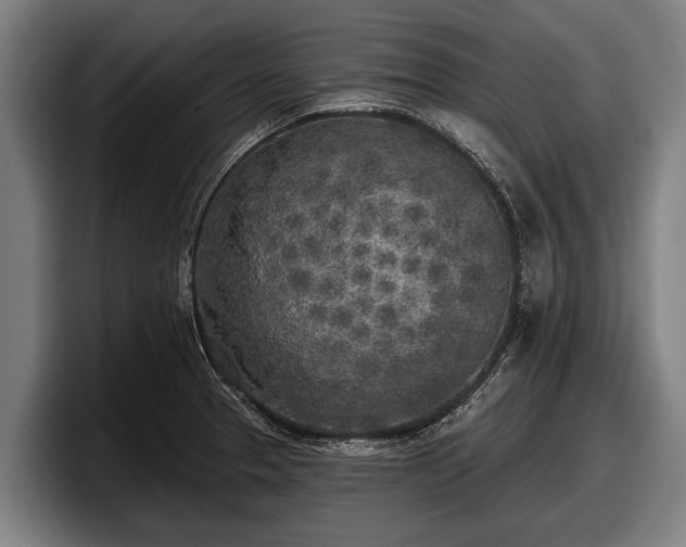 X0000097811329200803201410