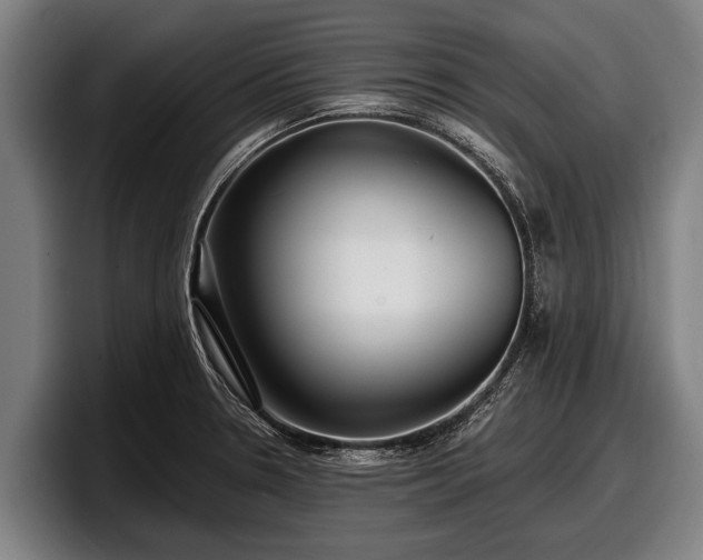 X0000097811330200803201410