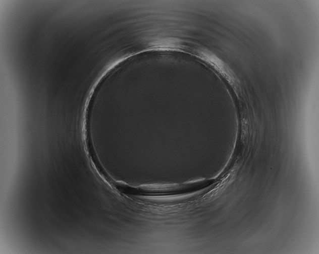 X0000097811331200803201410