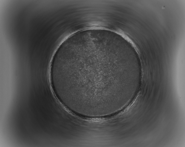 X0000097811333200803201410