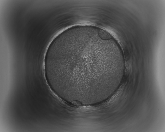 X0000097811335200803201410