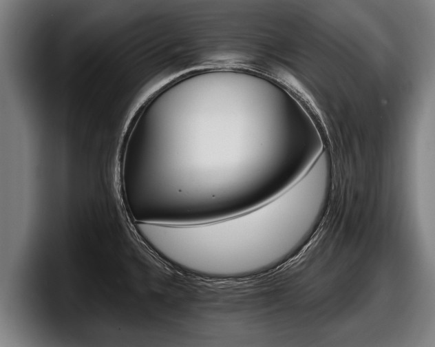 X0000097811336200803201410