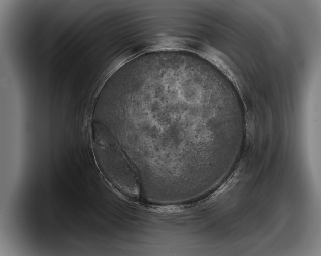 X0000097811337200803201410