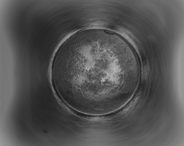 X0000097811341200803201410