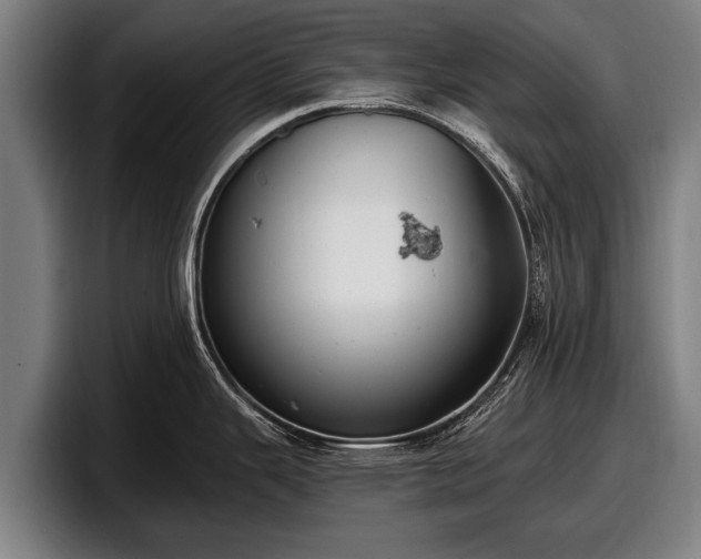 X0000097811343200803201410