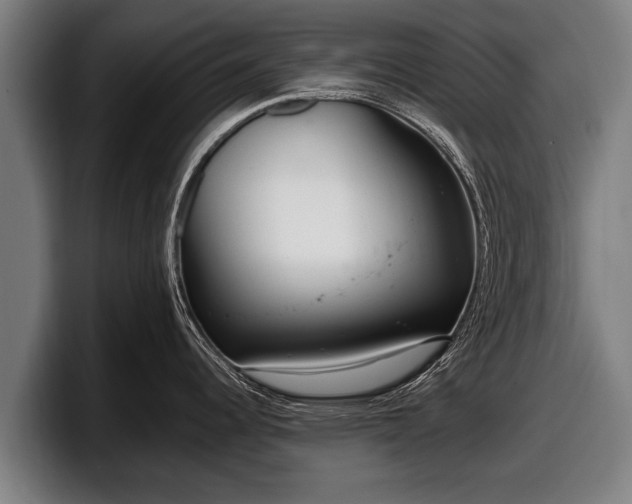 X0000097811344200803201410