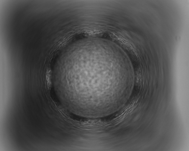 X0000097811346200803201409