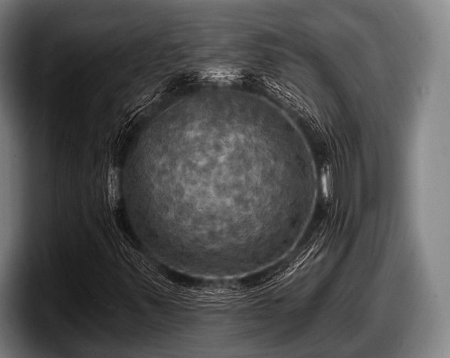 X0000097811347200803201409
