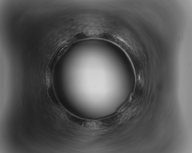 X0000097811348200803201409