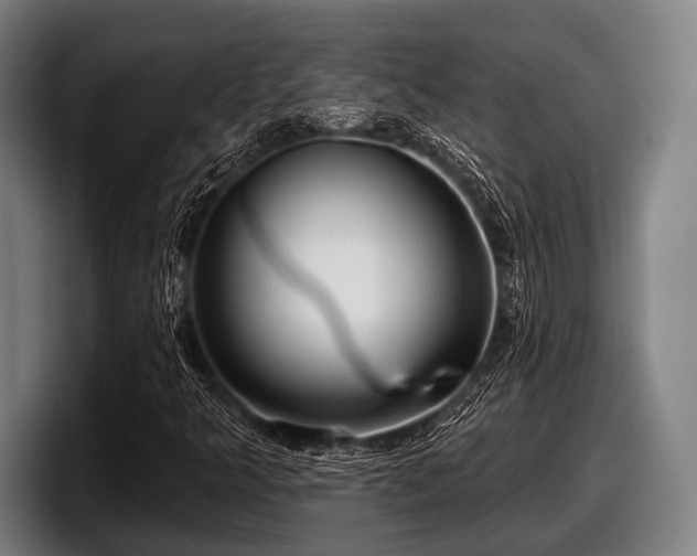 X0000097811349200803201409