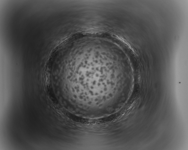 X0000097811350200803201409