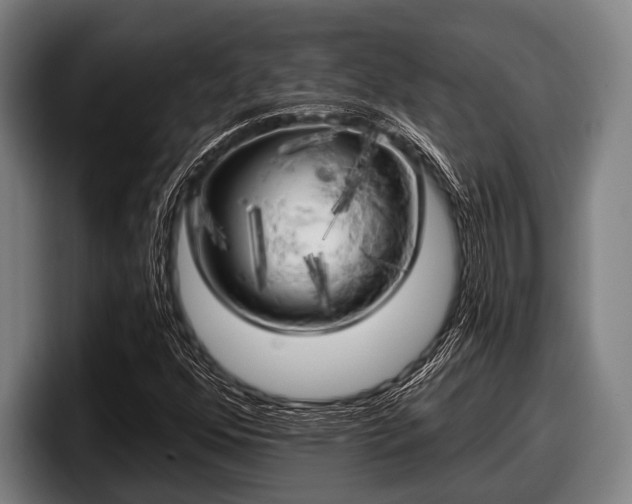 X0000097811352200803201409