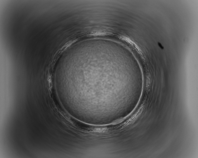 X0000097811353200803201409