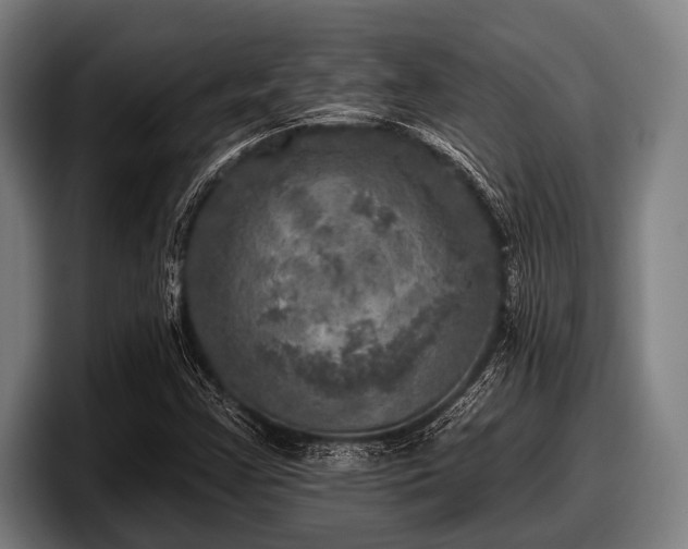 X0000097811355200803201409