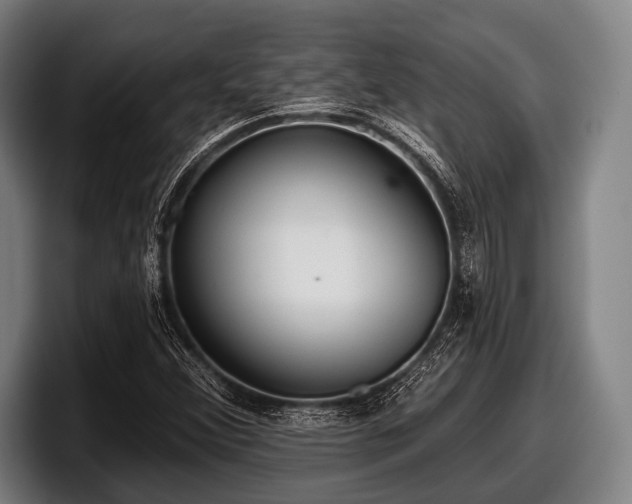 X0000097811356200803201409