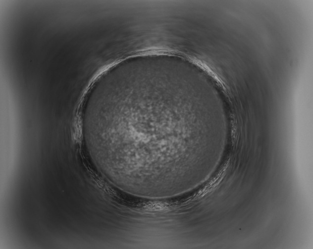 X0000097811358200803201409