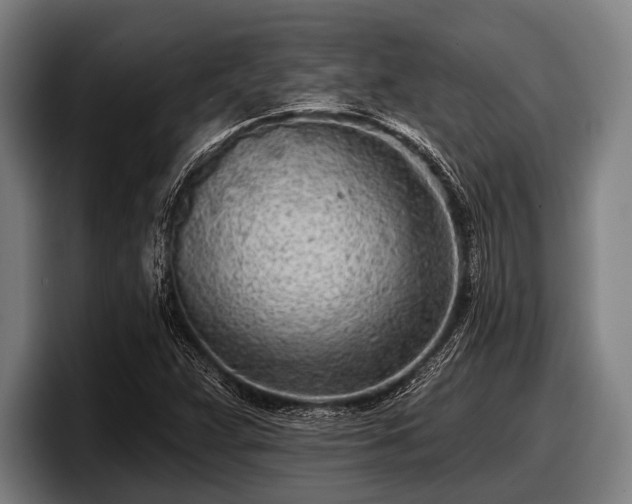 X0000097811359200803201409