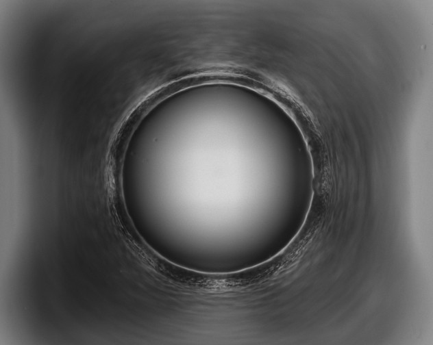 X0000097811360200803201409