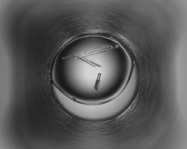 X0000097811361200803201409