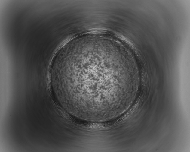 X0000097811362200803201409
