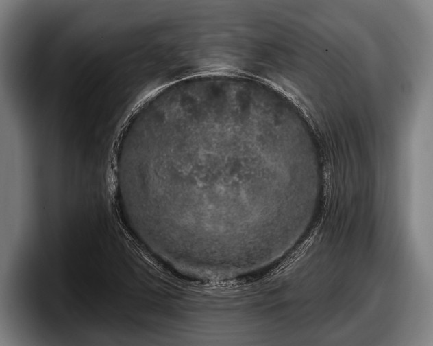 X0000097811363200803201409