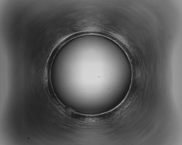 X0000097811364200803201409