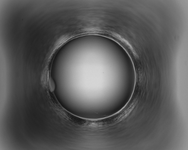 X0000097811365200803201409