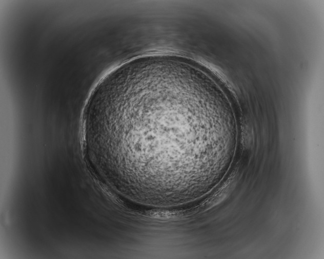 X0000097811366200803201409