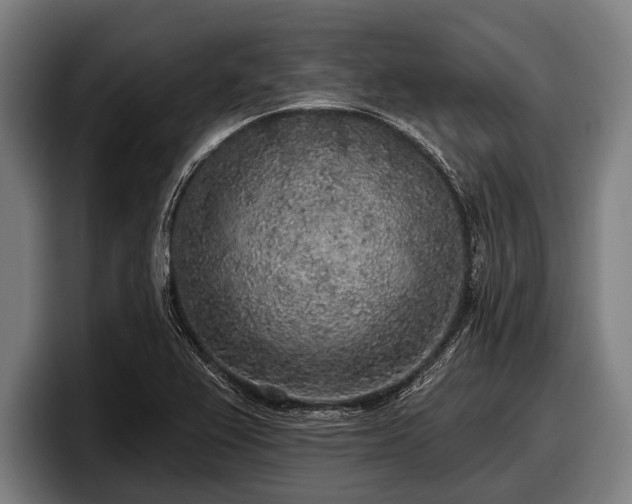 X0000097811367200803201409