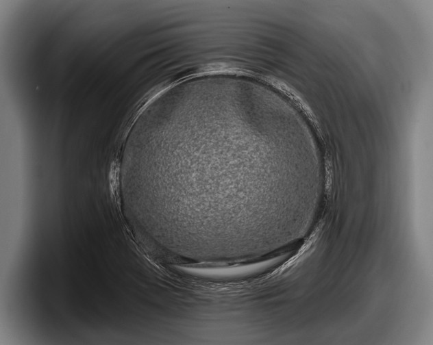 X0000097811369200803201409