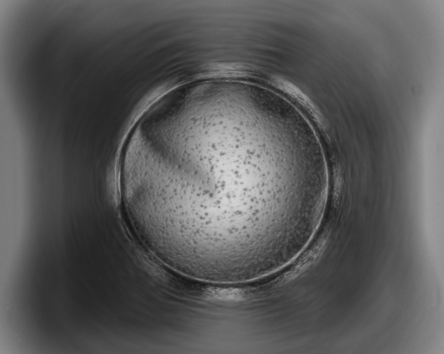 X0000097811370200803201409