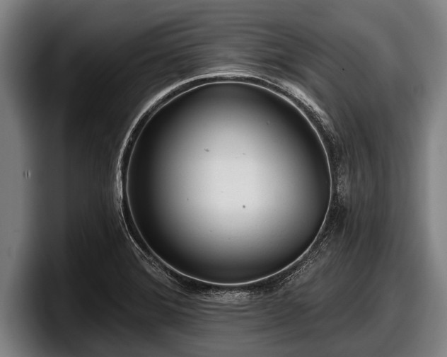 X0000097811372200803201409