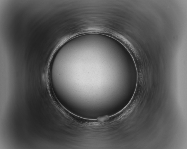 X0000097811373200803201409