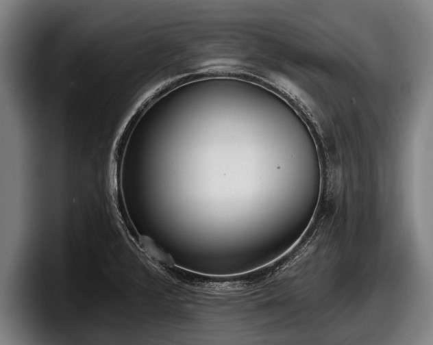 X0000097811376200803201409