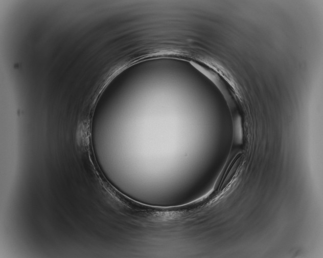 X0000097811377200803201409