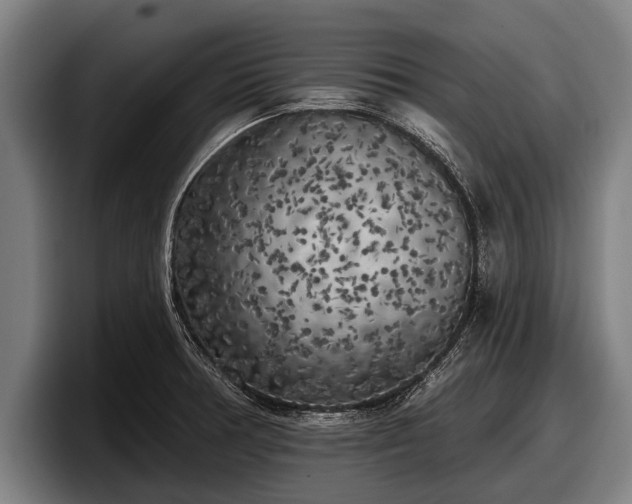 X0000097811378200803201409