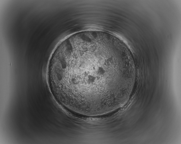 X0000097811379200803201409