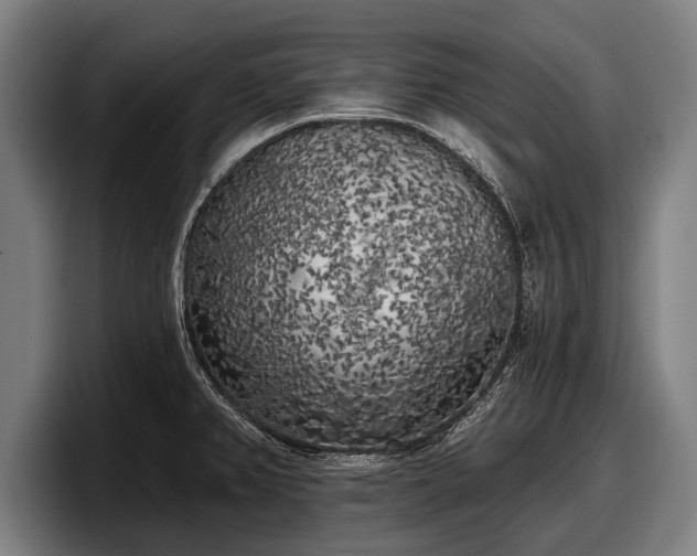 X0000097811382200803201409